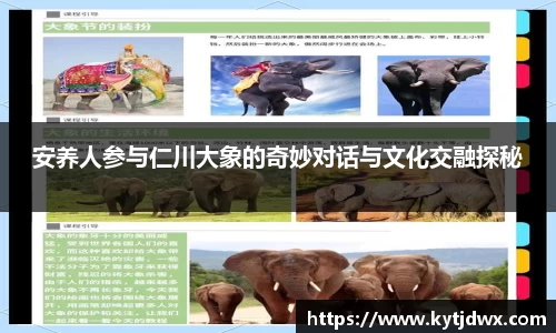 安养人参与仁川大象的奇妙对话与文化交融探秘