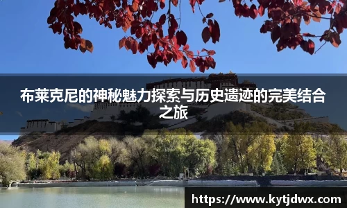 布莱克尼的神秘魅力探索与历史遗迹的完美结合之旅